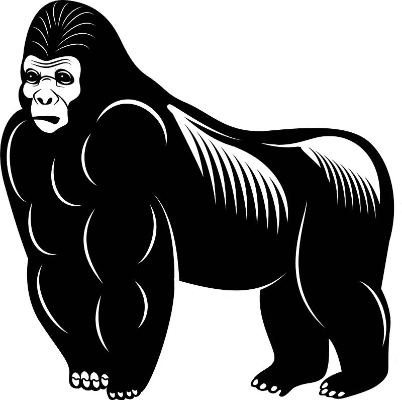 Gorilla Clipart Black and White