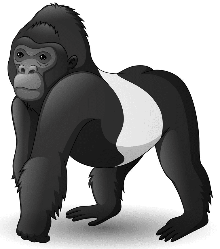 Gorilla Clipart Png Images