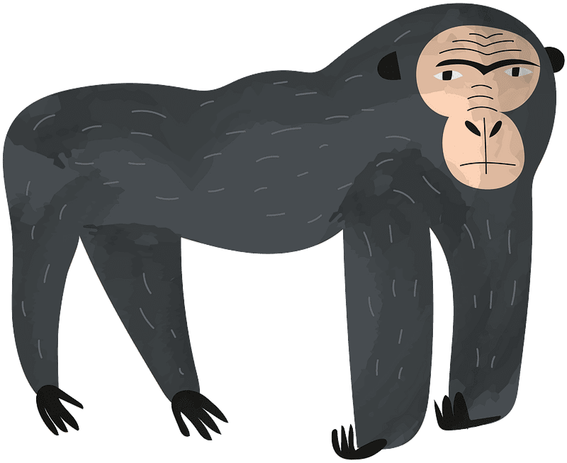 Gorilla Clipart Transparent Background