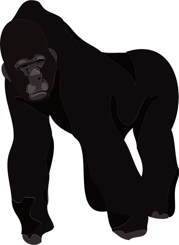 Gorilla Clipart Transparent Images