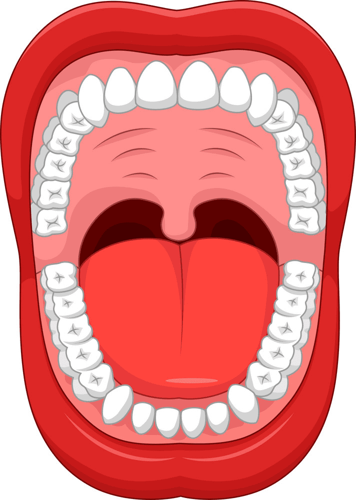 Human Mouth Clipart