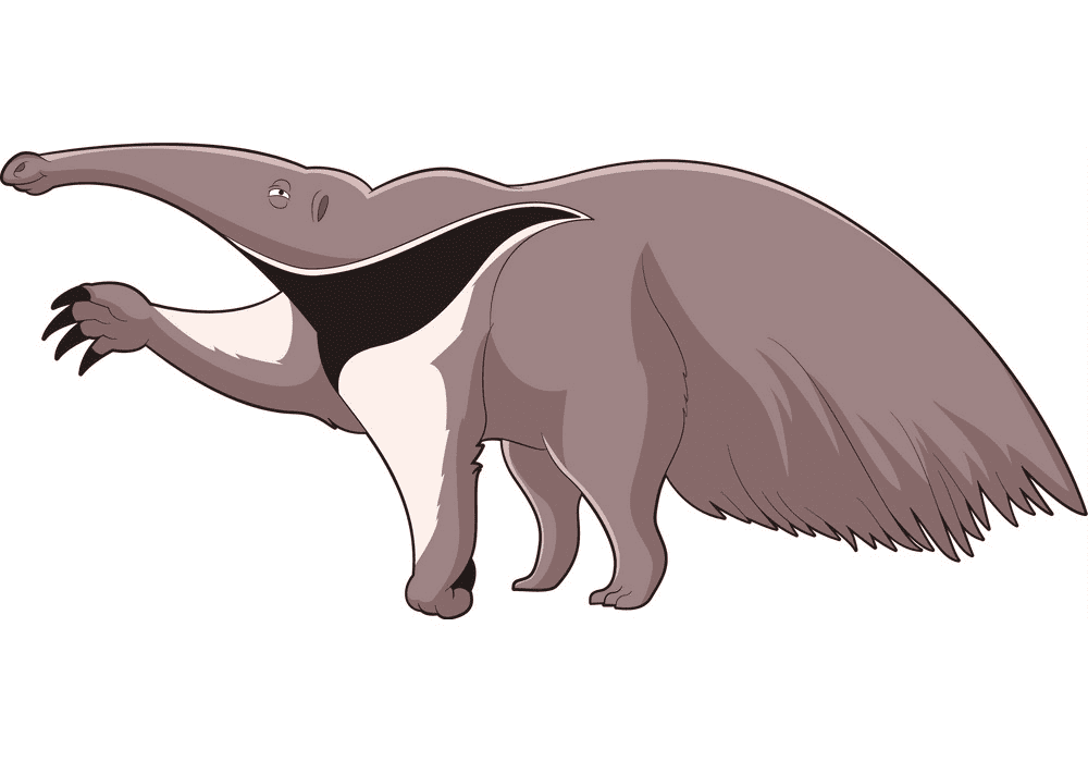 Anteater Clipart Free Download