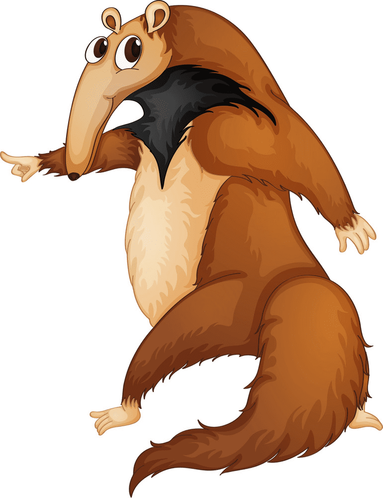 Anteater Clipart Free Image