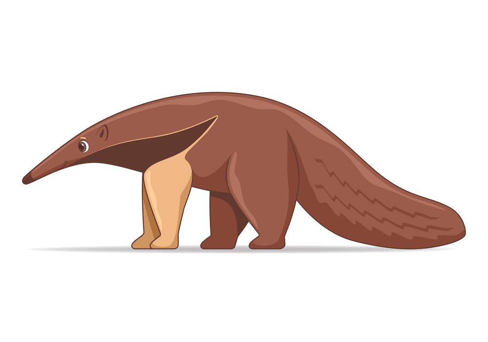 Anteater Clipart Free Images