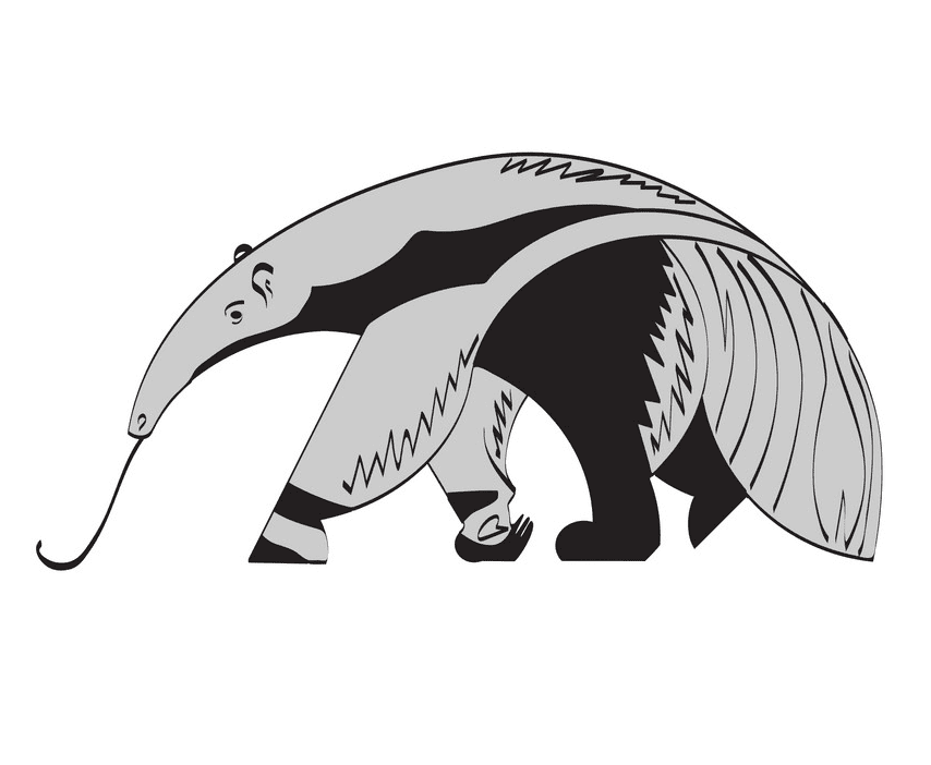 Anteater Clipart Free Pictures