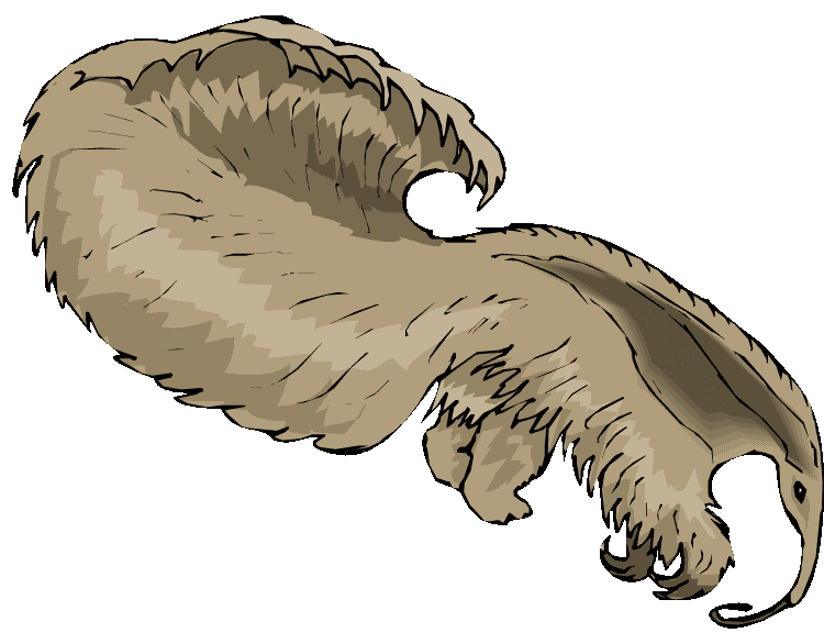 Anteater Clipart Images