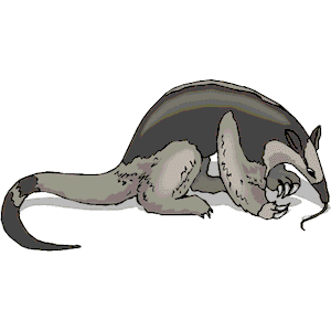 Anteater Clipart Png Free