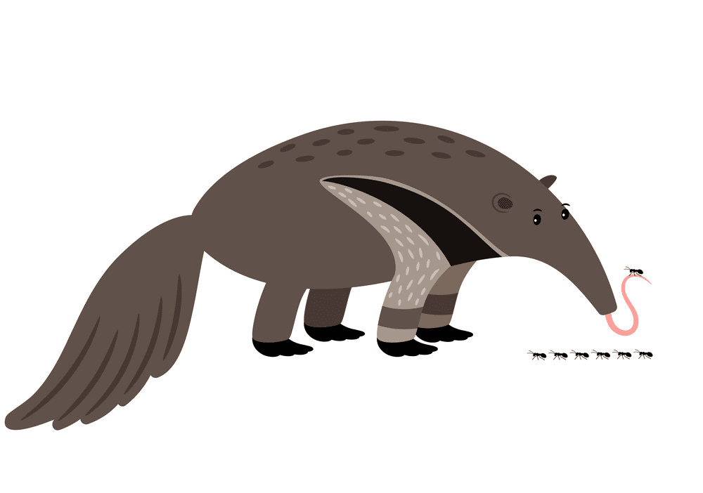 Anteater Clipart Png Pictures