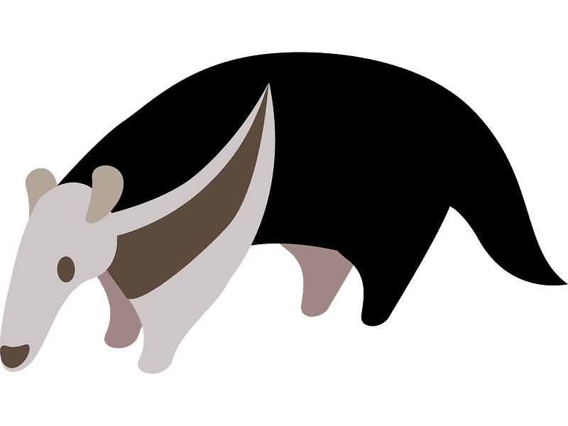 Anteater Clipart Transparent Png
