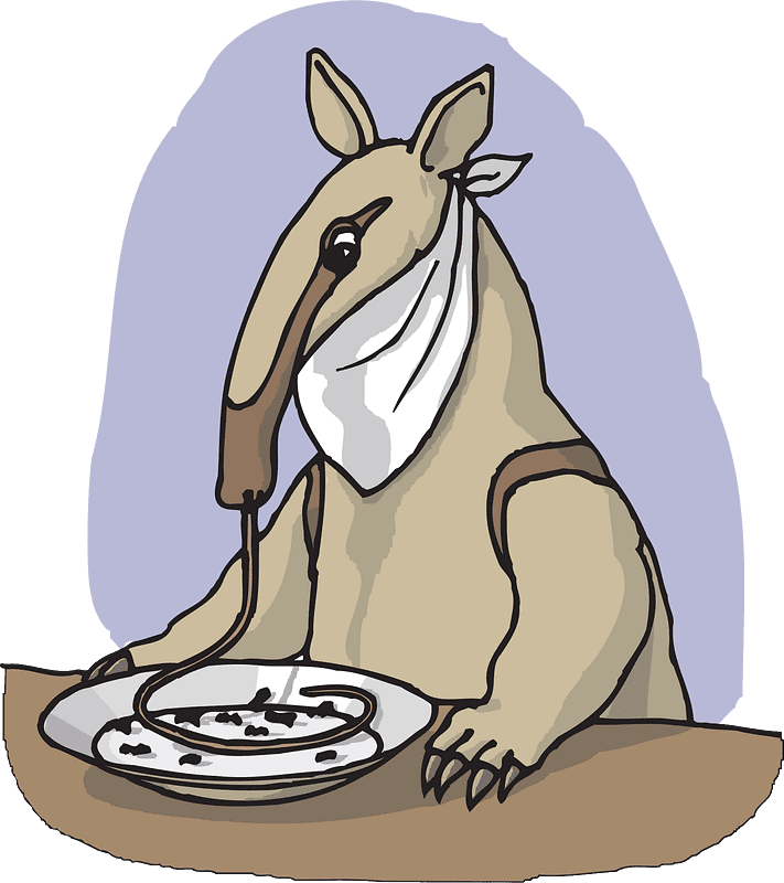 Anteater Clipart