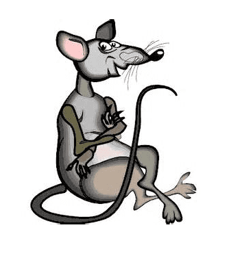 Bad Rat Clipart