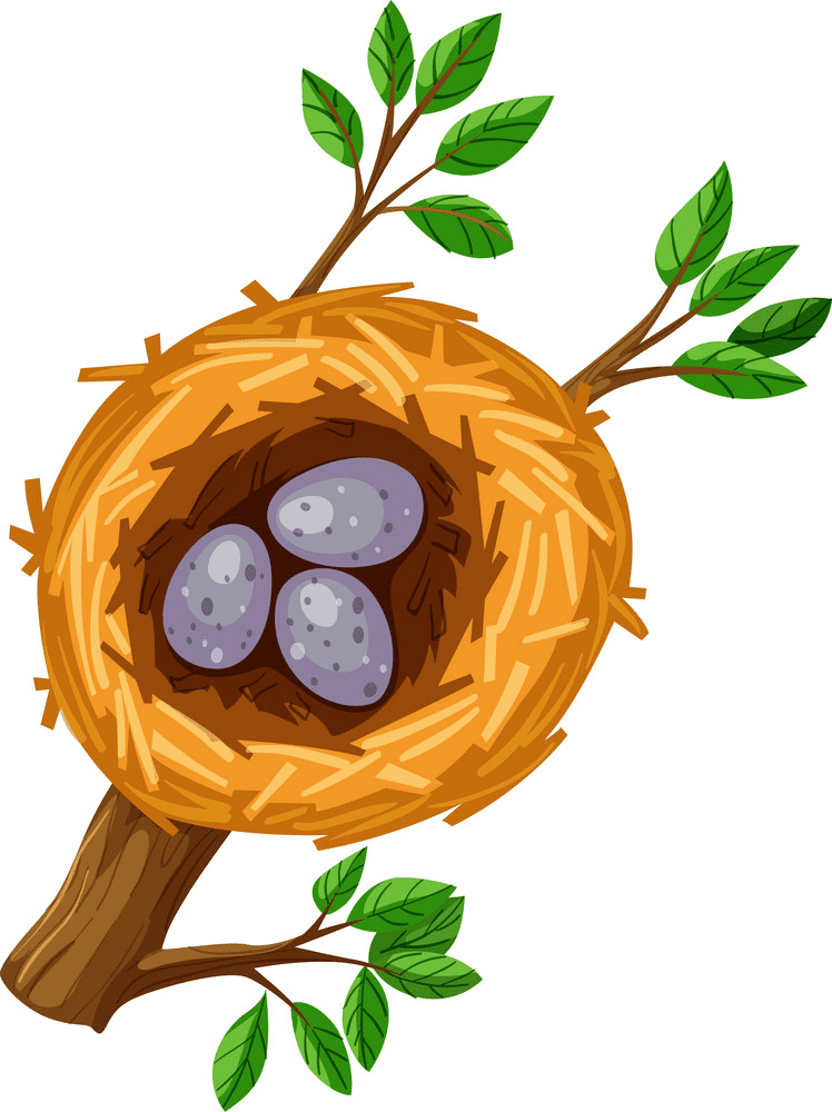 Bird Nest Clipart Free Image