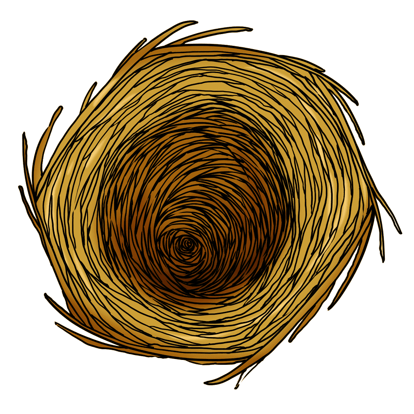 Bird Nest Clipart Image