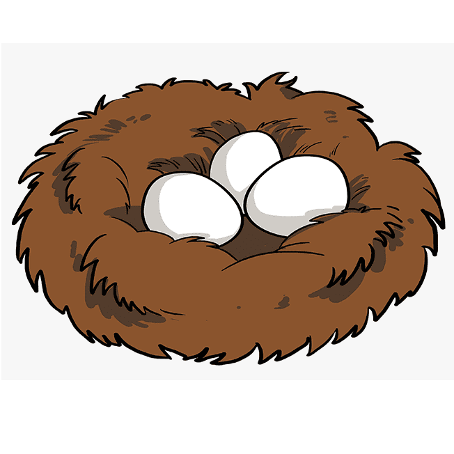 Bird Nest Clipart Png Picture