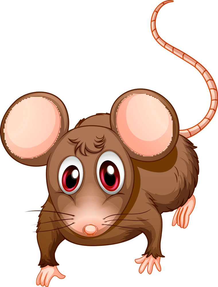 Brown Rat Clipart