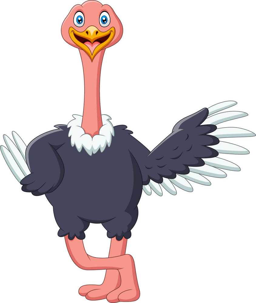Cartoon Ostrich Clipart For Free