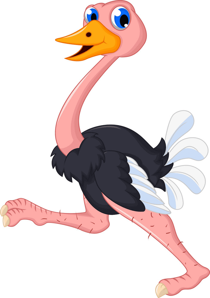 Cartoon Ostrich Clipart Image