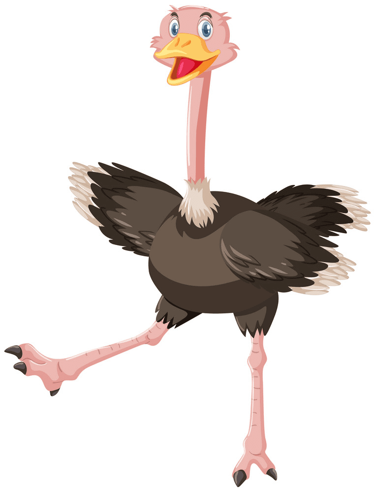 Cartoon Ostrich Clipart Images