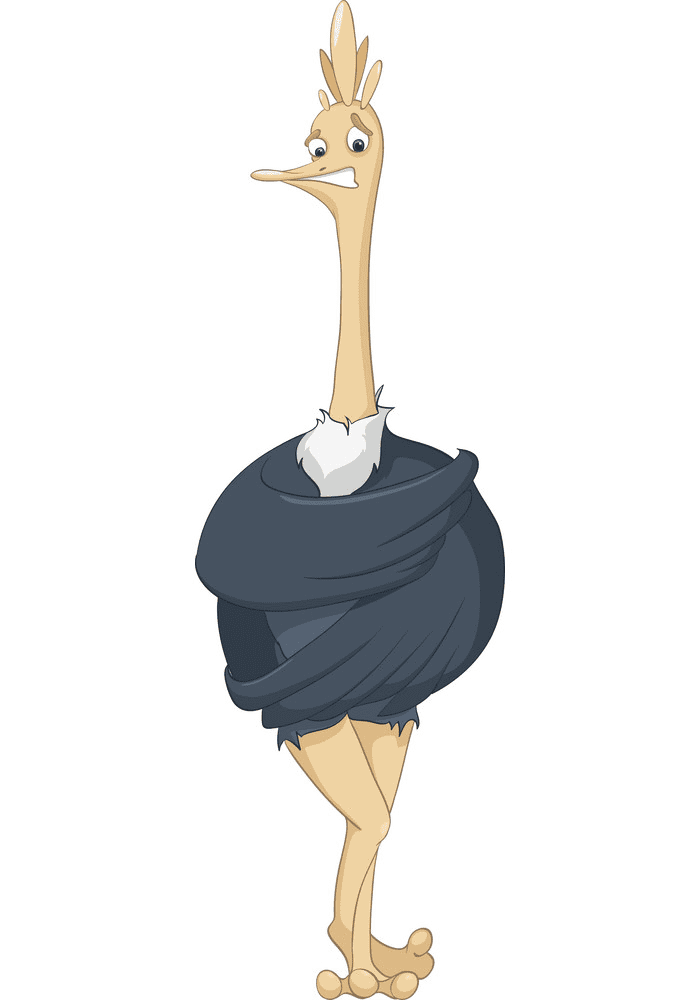 Cartoon Ostrich Clipart Picture