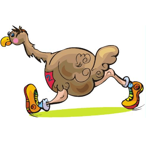 Cartoon Ostrich Clipart