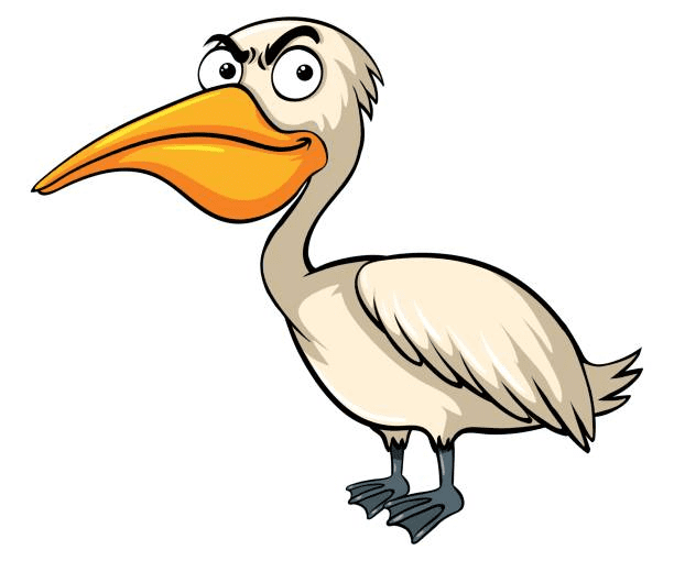 Cartoon Pelican Clipart Download