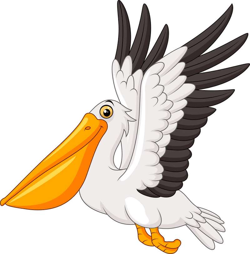 Cartoon Pelican Clipart For Free
