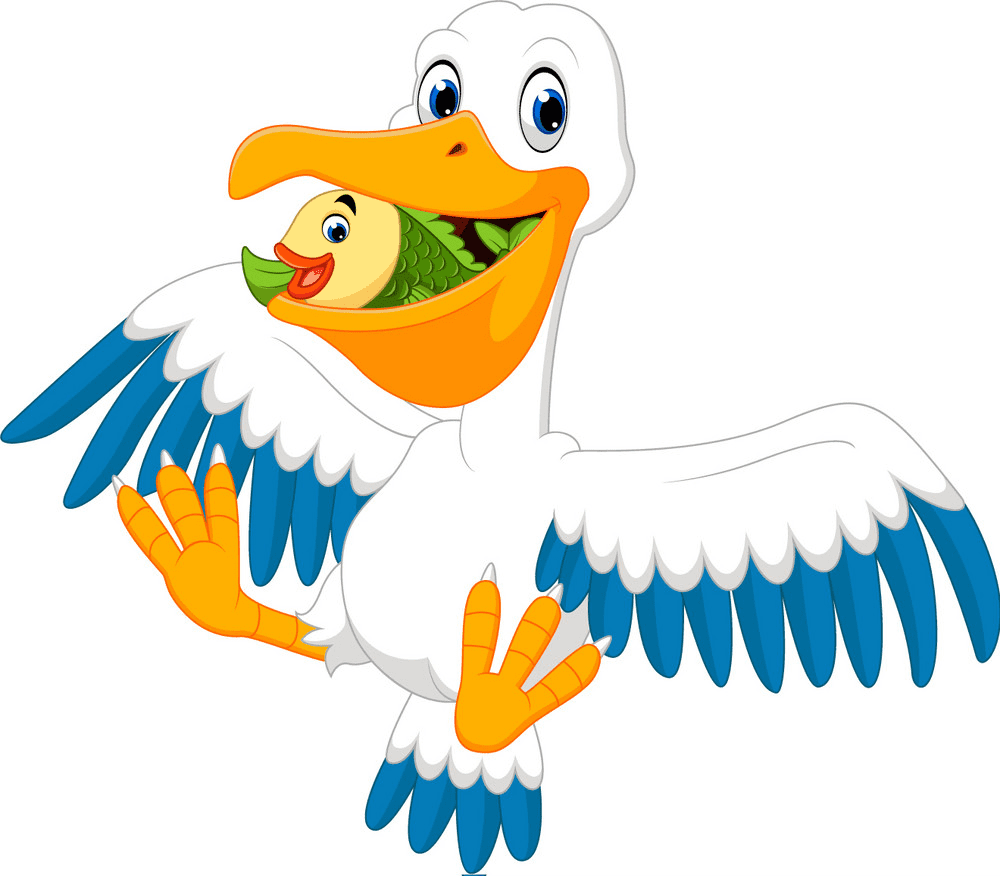 Cartoon Pelican Clipart Image