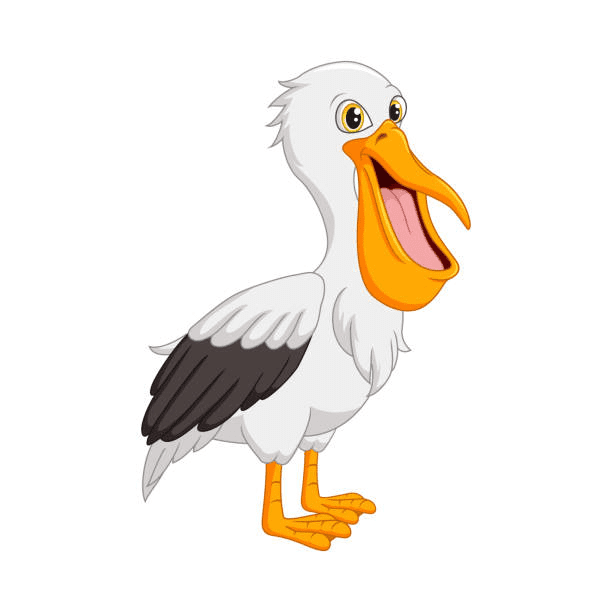 Cartoon Pelican Clipart Picture