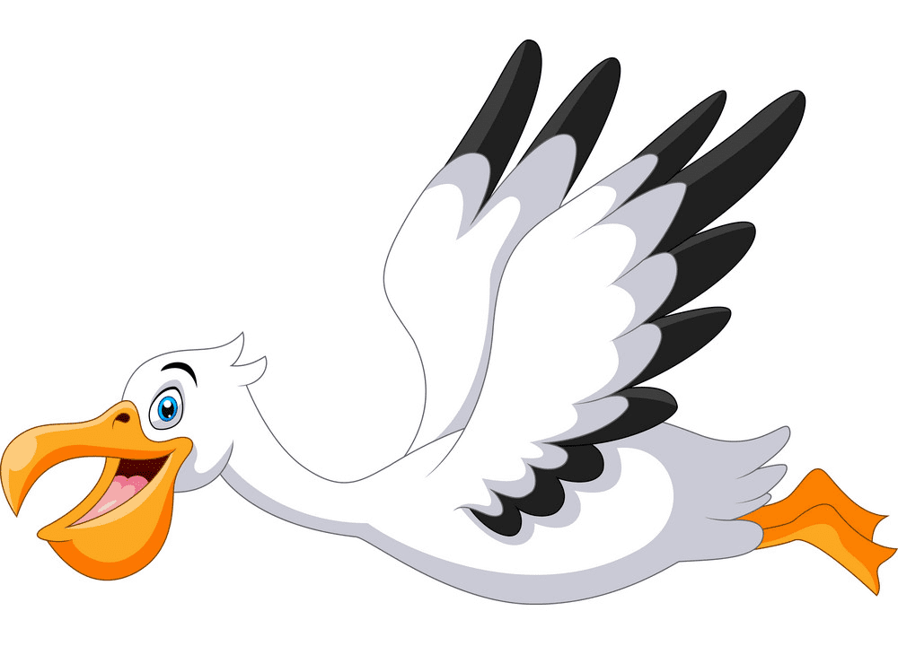 Cartoon Pelican Clipart Png