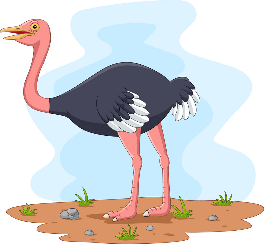 Clipart Ostrich Png Image