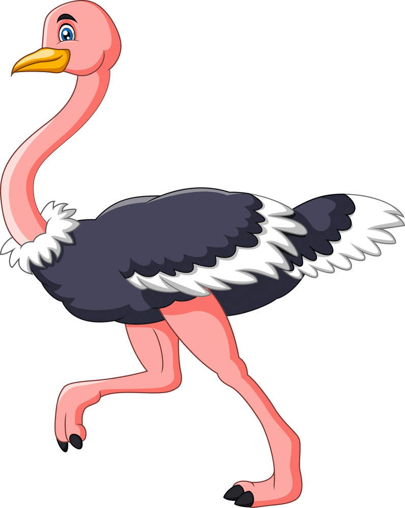 Clipart Ostrich
