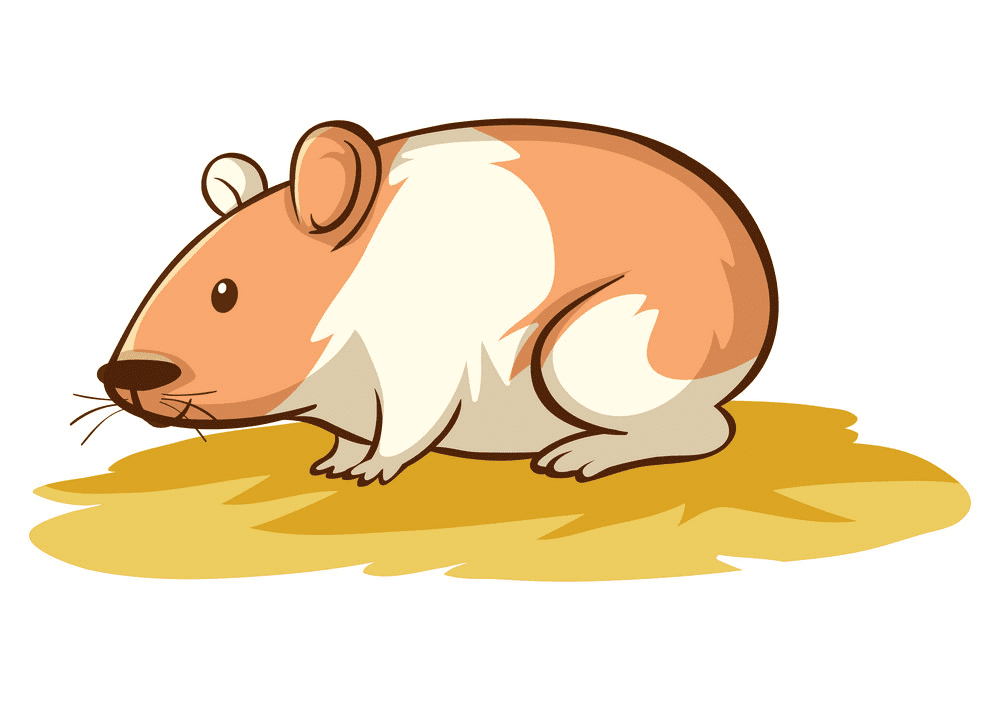Cute Hamster Clipart Image
