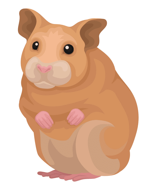 Cute Hamster Clipart Picture