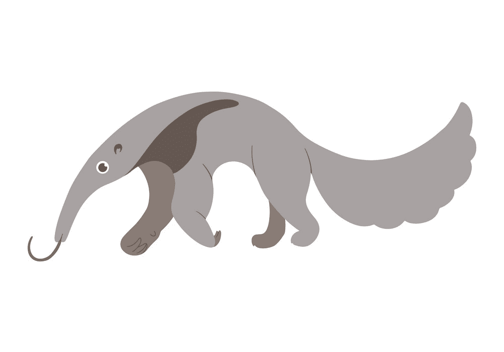 Download Anteater Clipart For Free