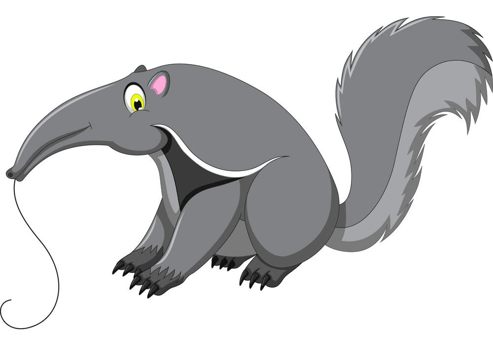 Download Anteater Clipart Image