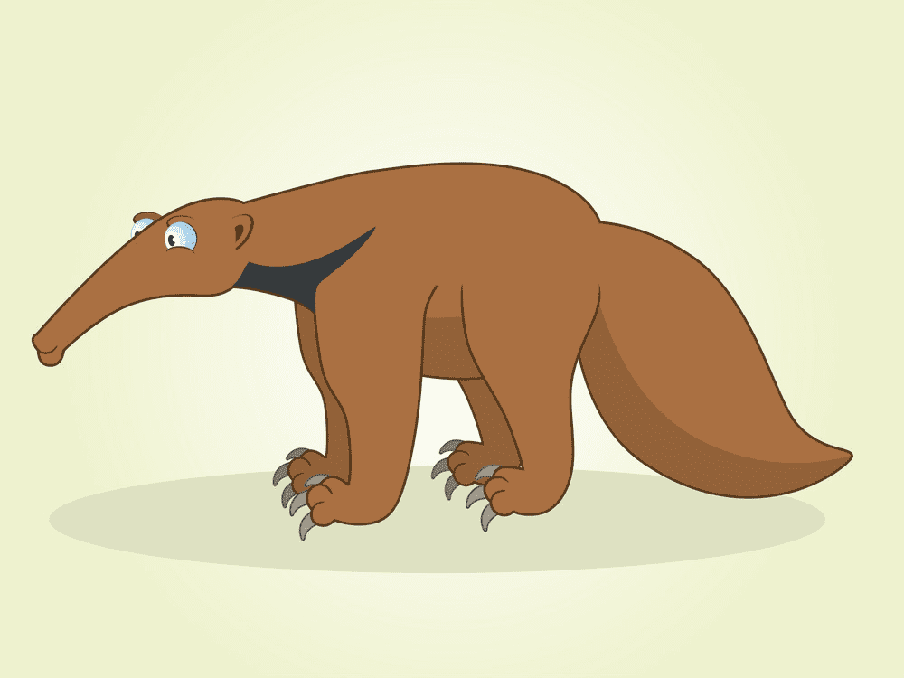 Download Anteater Clipart Images