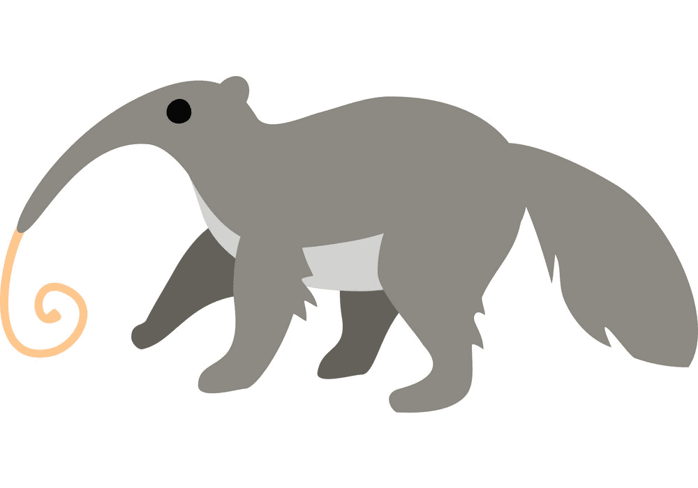 Download Anteater Clipart Png