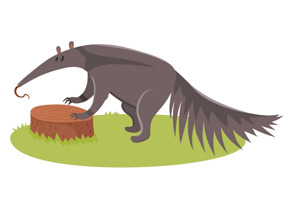 Download Anteater Clipart