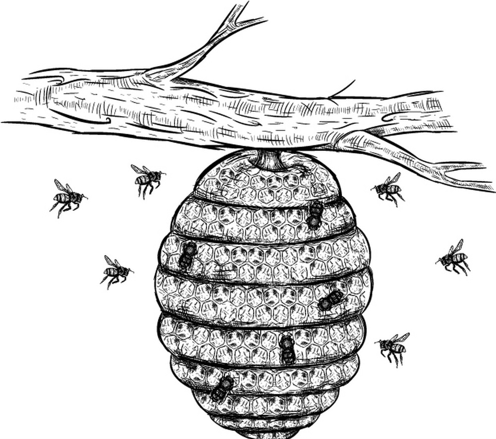 Download Beehive Black and White Clipart