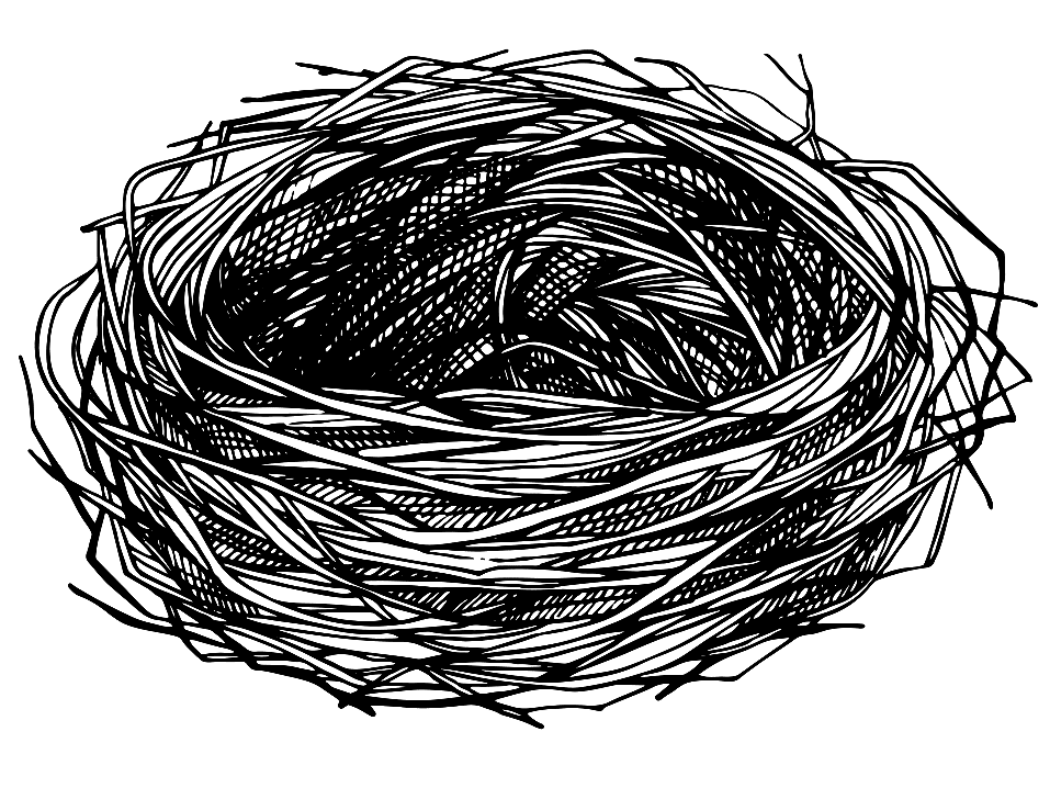 Download Bird Nest Clipart Black and White