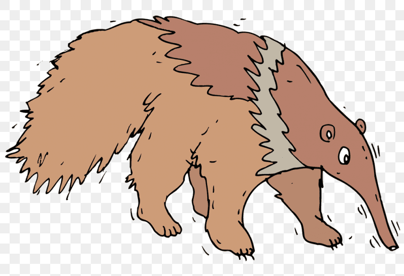 Download Clipart Anteater