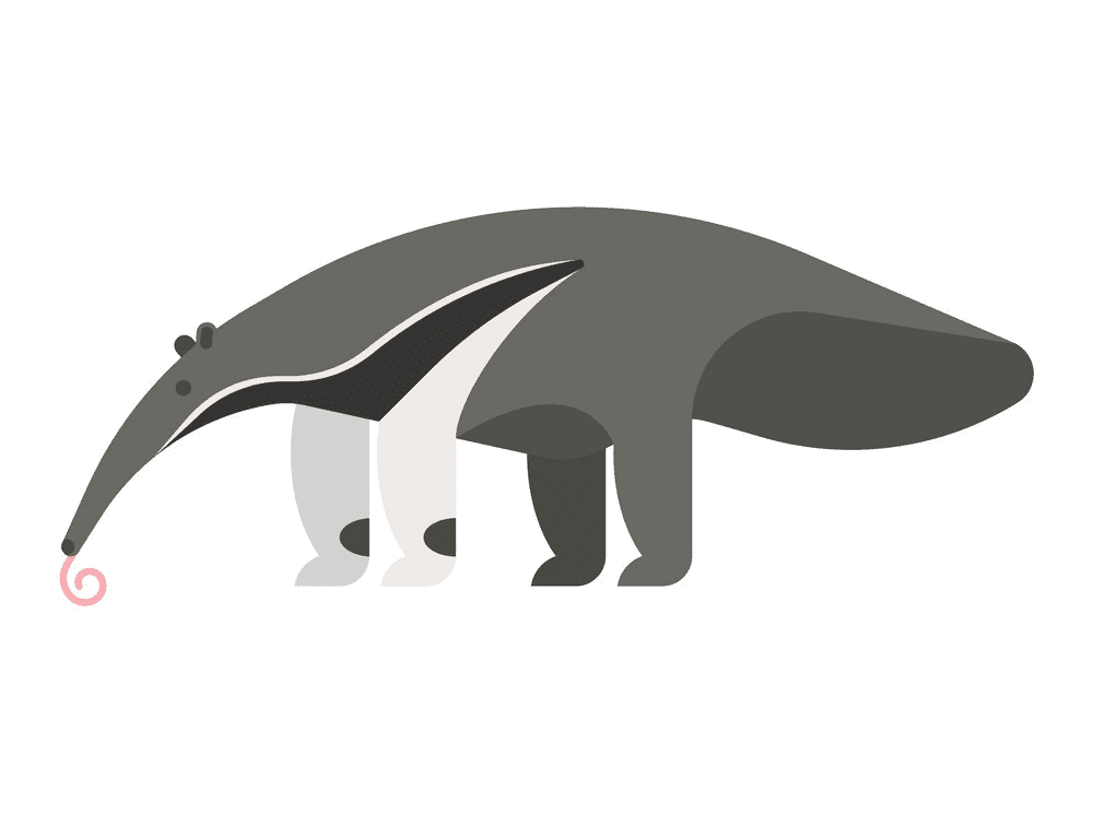 Download Free Anteater Clipart