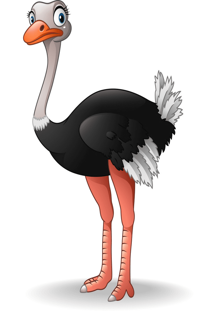 Download Free Ostrich Clipart