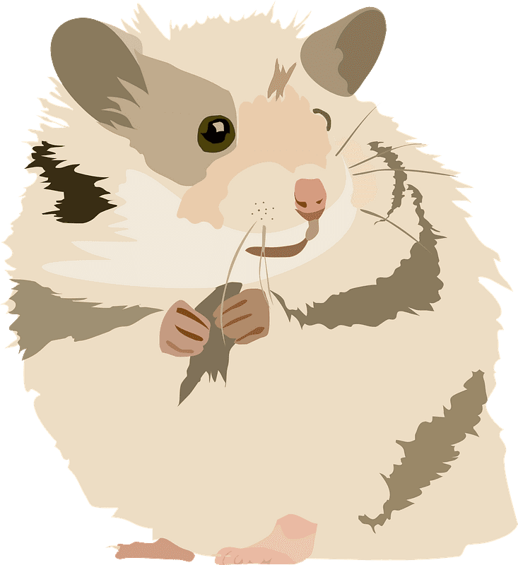 Download Hamster Clipart Transparent Background