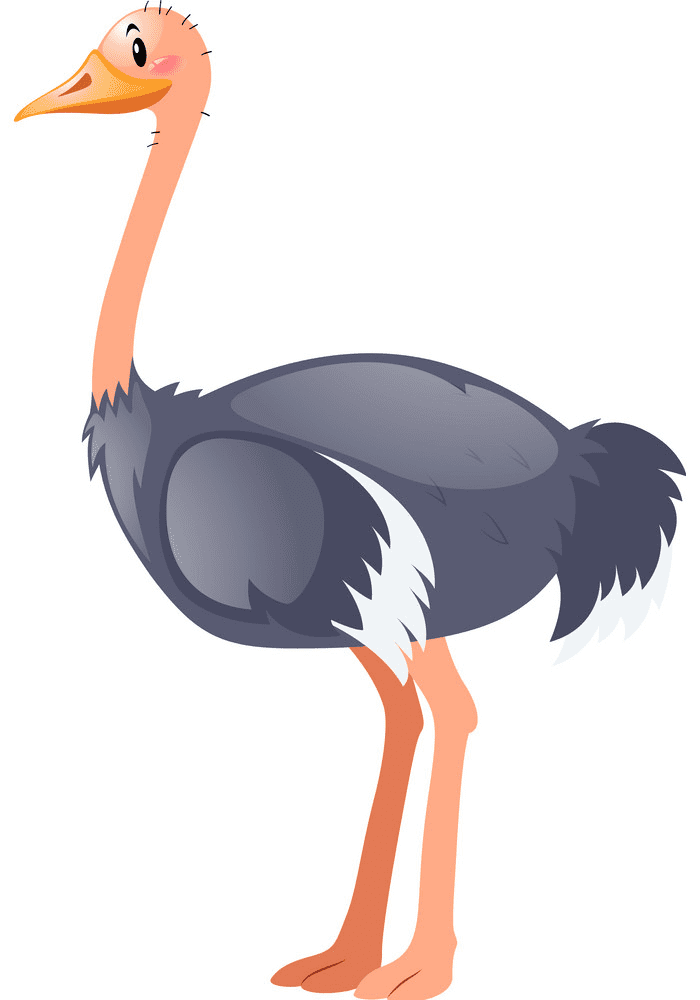 Download Ostrich Clipart Free