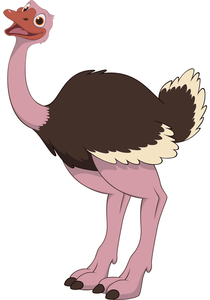 Download Ostrich Clipart Image