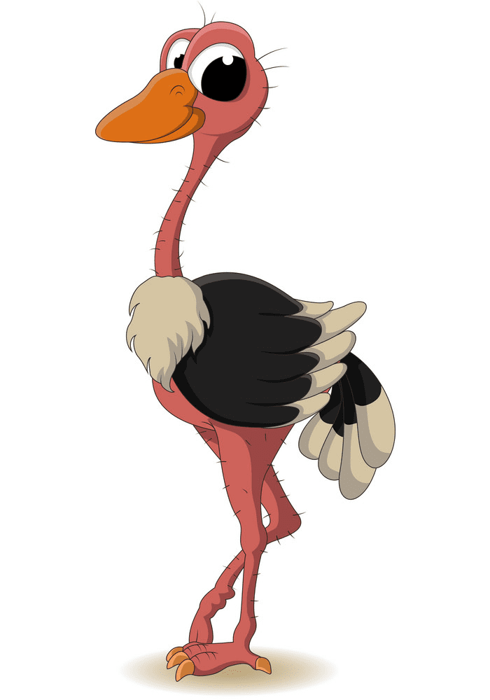 Download Ostrich Clipart Pictures