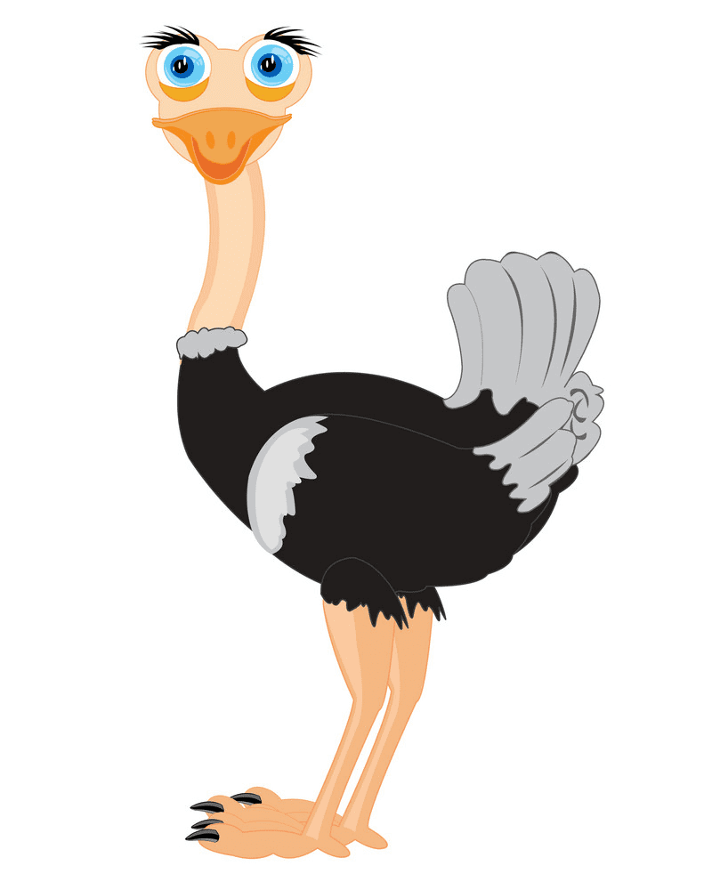 Download Ostrich Clipart Png