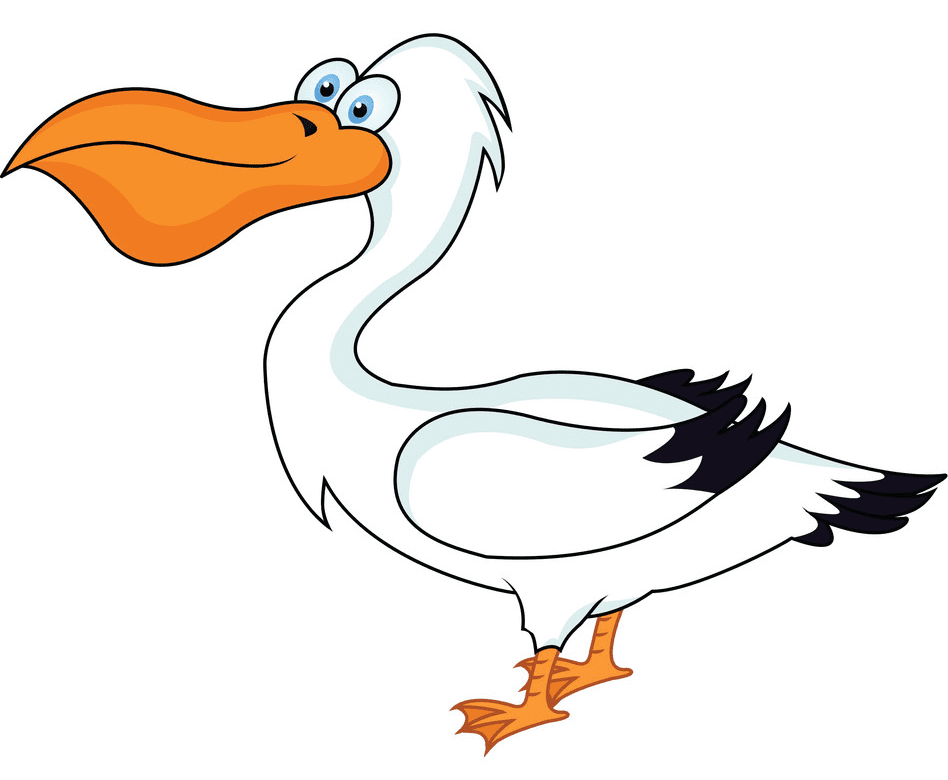 Download Pelican Clipart For Free