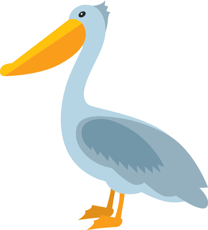 Download Pelican Clipart Transparent Background